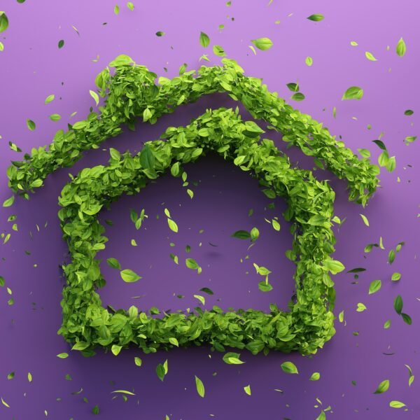 Qu'est-ce qu'un logement écologique ?