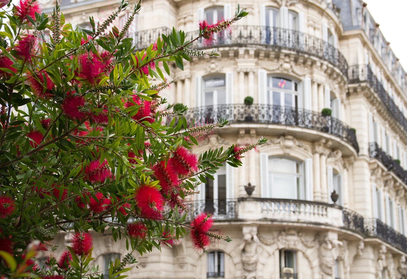 Ville de Montpellier
