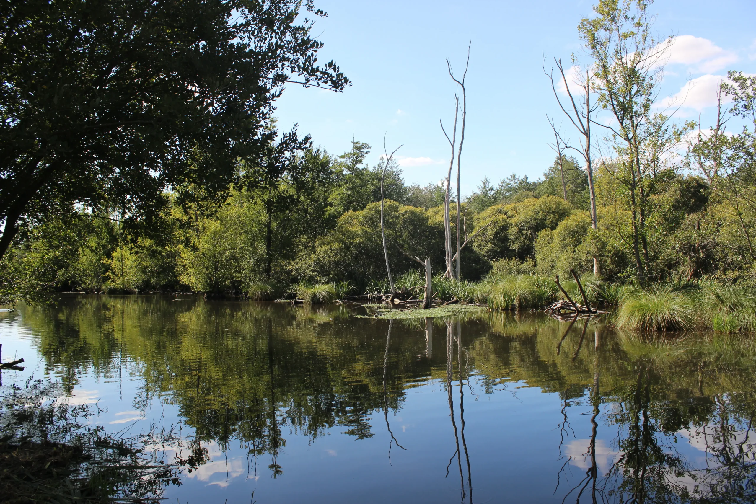 Gestion locative - Fontenay-sur-Eure
