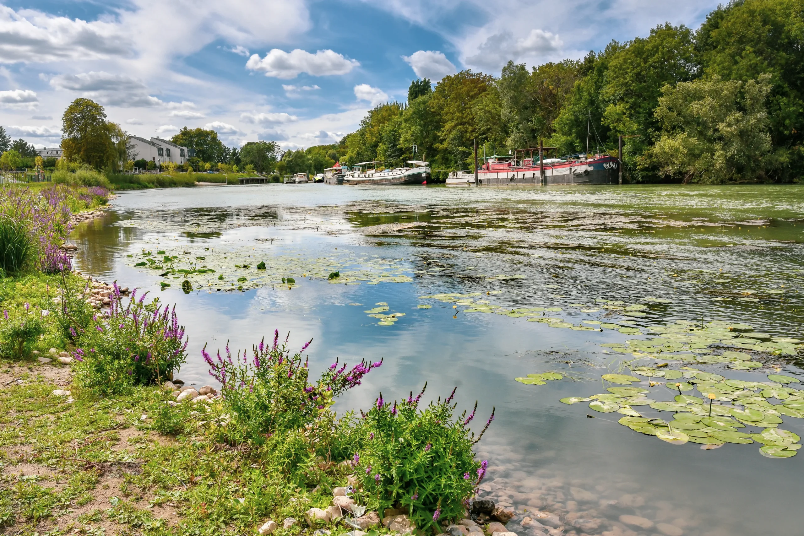 Gestion locative - Noisy-le-Grand